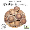 【産地直送】4代70年の伝統 高橋農園 国産 原木しいたけ (生椎茸) 1kg ご家庭用 農薬不使用 クール便サービス 厚肉シイタケ 原木椎茸 通販 この商品は段ボール箱入りです。お鍋 焼き肉のお供に お勧め お取り寄せ 贈答用 ギフト