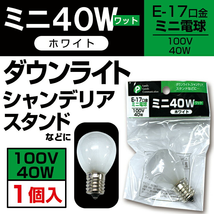 ミニ電球　40W（ホワイト）【メール