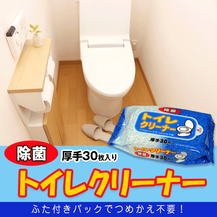 トイレクリーナー　厚手30枚入り【