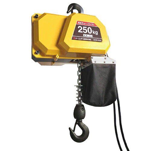 オーエッチ工業(OH) 電動チェーンホイスト 250kg DCH-250