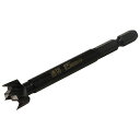 SK11(藤原産業) 速切木工ボアビット 六角軸 15×90mm SSKW-15H