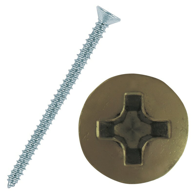 BAUHAUS(バウハウス) 木手すり用ビス（100本入り） BH-38B ＋皿3．5×50 ブラウン 040-2653