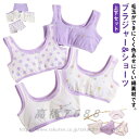【送料無料】 ブラジャー4枚&ショーツ4枚セット!ブラ ジュニア キッズ パッドなし 綿 ブラショーツセット ジュニアブラ ブラトップ スポーツブラ 女の子 小...