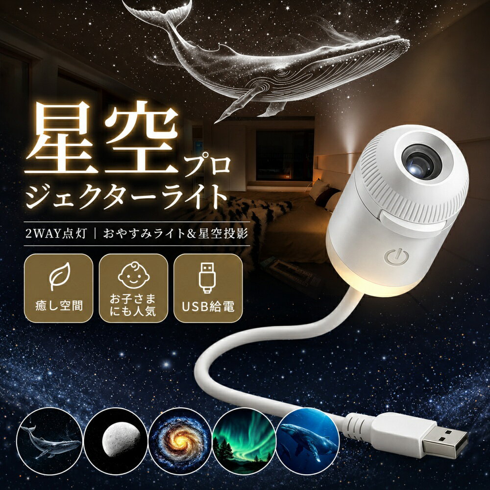 楽天市場】プロジェクターライト usbの通販