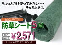 【送料無料】デュポン社製　グリーンビスタ　プロ　136お試しサイズ（幅：1M×長：5M）シート止め専用ピン12本付き！