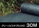 【送料無料】デュポン社製防草シート　グリーンビスタ　プロ240（幅：1M×長：30M）専用プラスチックピン50本付き その1