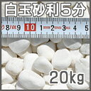 【送料無料】白玉砂利5分【20kg】【15-20mm】 その1