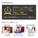 【送料無料】クリーニング 詰め放題 宅配 10点 クリーニング 保管 衣替え 新生活 タカケン ダブルウォッシュ 汗とり 最大一年保管 宅配クリーニング【サービス特集認定商品】10点 保管なしコース