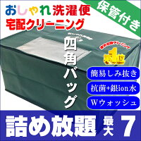 クリーニング 詰め放題 宅配 7点 クリーニング 保管 衣替え 新生活 タカケン ダブルウォッシュ 汗とり 最大一年保管 宅配クリーニング【サービス特集認定商品】7点 保管ありコース