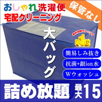 クリーニング 詰め放題 宅配 15点 クリーニング 保管 衣替え 新生活 タカケン ダブルウォッシュ 汗とり 最大一年保管 宅配クリーニング【サービス特集認定商品】15点 保管なしコース