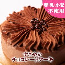 \9月限定 エントリー必要 P10倍!!/☆チョコ好きさんにおすすめ♪【卵乳小麦アレルギー対応】【グルテンフリー】すこやかチョコレートケーキ(15cm)【アレルギー対応 卵・乳・小麦不使用 誕生日 ギフト 豆乳 米粉 記念日 プレゼント ケーキ】
