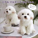 ぬいぐるみ　犬　マルチーズ 犬 マ