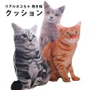 ねこ ぬいぐるみ 猫 アメショー ロシアンブルー 子供の日 クリスマス 誕生日 プレゼント 出産祝い ペット コレクション お礼 景品 店飾り 抱き枕