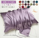 枕カバー シルク100% マクラカバー 1枚 50×76cm シルク 美肌 肌ケア 乾燥 保温 乾燥対策 保湿 美容 ピロケース 天然 シルクマクラカバー 枕 ...