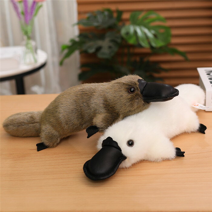 JmnV ʂ A zCg O[ platypus plush 30cm 35cm 45cm