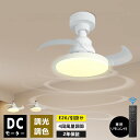 シーリングファンライト リモコン付き 天井 シーリングライト ファン DCモーター LEDシーリングライト 薄型 シーリングファン ファン付 LED電球 天井照...