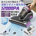 布団クリーナー 布団掃除機 ダニ対策 分離式 掃除機 布団 ダニフィルター分離設計 12Kpa 強力吸引 三段階パワーモード ウイルス除去 UV除菌 ふとんクリ...