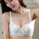 送料無料 ブラジャー レディース 女性用 インナー 下着 ランジェリー 1/2カップ レース 薄手 透け感 シースルー 背中ホック 可愛い おしゃれ Bカップ Cカップ