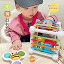 知育おもちゃ 男の子 女の子 積み木 積木 つみき 形認識 色認識 指先 指先訓練 脳トレ 指先トレ ブロック 型はめ 形合わせ はめ込み ビーズコースター カ...