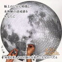 パズル 月 惑星 マイクロピース 宇宙 月 天体 太陽系 コンパクト 難しい ジグソーパズル 大人向けパズル プレゼント ギフト おしゃれ 珍しい 面白い 高級...