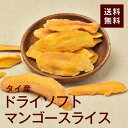 ドライソフトマンゴースライス500g【送料無料】タイ産 やわらか半生食感◎酸味が少なく甘みがしっかり★ヨーグルトに超おすすめ！美肌、アンチエイジング効果的♪ チャック付き