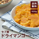 セブ島ドライマンゴー(切り落とし)500g【送料無料】フィリピンセブ産 甘みが強くて食べごたえ◎ヨーグルトに超おすすめ！美肌、アンチエイジング効果的♪ チャック付き