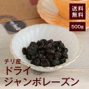 ドライジャンボレーズン500g【送料無料】チリ産 ミネラルが豊富★ 鉄分 貧血予防 カリウム 高血圧予防 むくみ予防 食物繊維 便秘予防 糖質 疲労回復効果 ポリフェノール ガンや動脈硬化予防 ヨ…