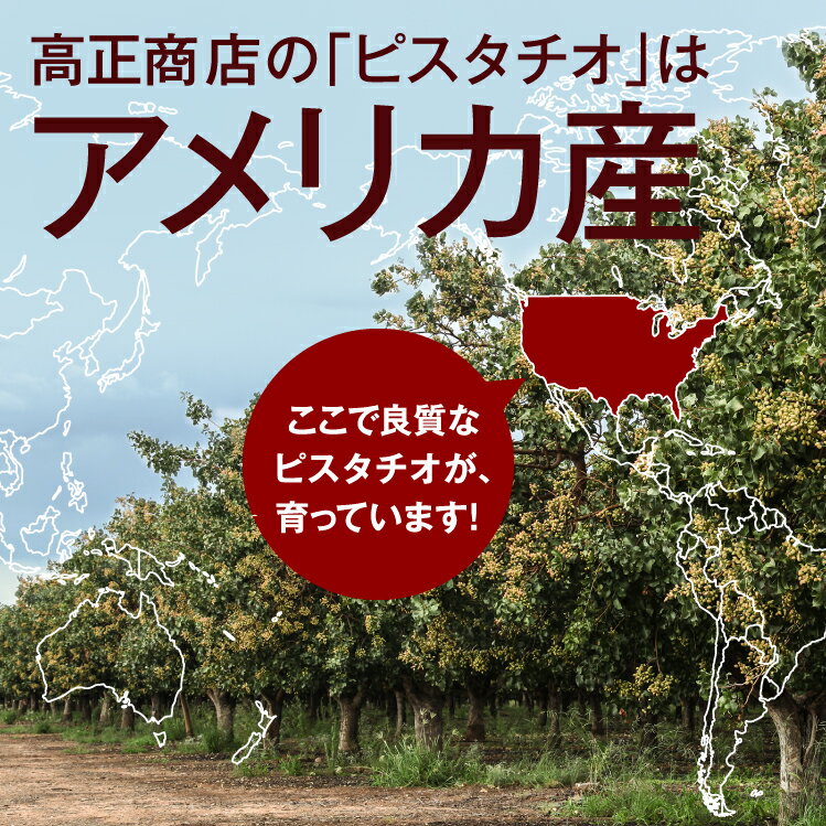 素焼き無縁ピスタチオ800g