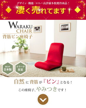 座椅子 コンパクト リクライニング 腰痛 体にフィット こたつ 腰 姿勢 日本製 背筋がピント テレワーク 和楽 北欧 へたりにくい 楽天ランキング1位 腰にいい 健康 疲れない 1人暮らし 壊れない 和楽チェア S インテリア タカミネ