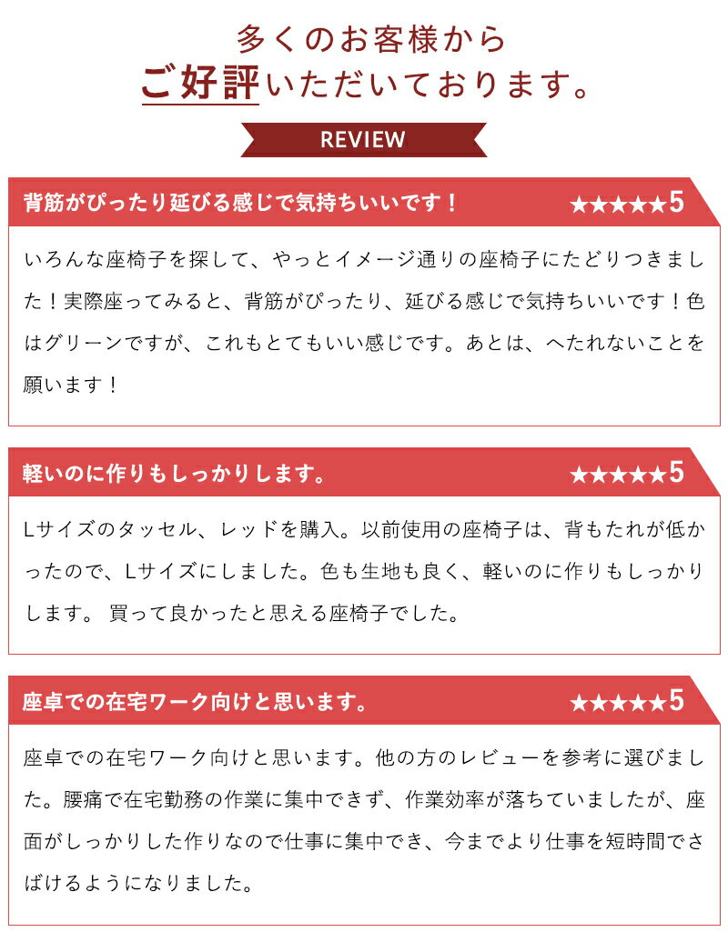 座椅子 ローチェア 折りたたみ 椅子 和楽 デスク 背もたれ リクライニング コンパクト 小さい 在宅 作業用 かわいい 座いす 腰痛 インテリア 腰痛 おしゃれ テレワーク リクライニングチェア リラックス 姿勢 日本製 自由自在 Lサイズ タカミネ 一人用 WARAKU 和楽チェア