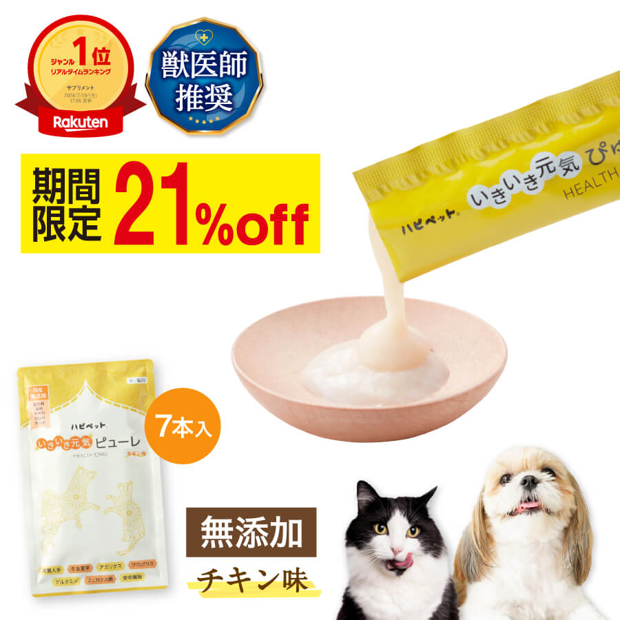 【全商品P5倍♪11日01:59まで】【楽天