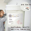 【送料無料】西洋 漆喰【Coral Tex コーラルテックス】漆喰15.5kg/珪藻土風20kg　ナチュラルホワイト（010）塗り壁