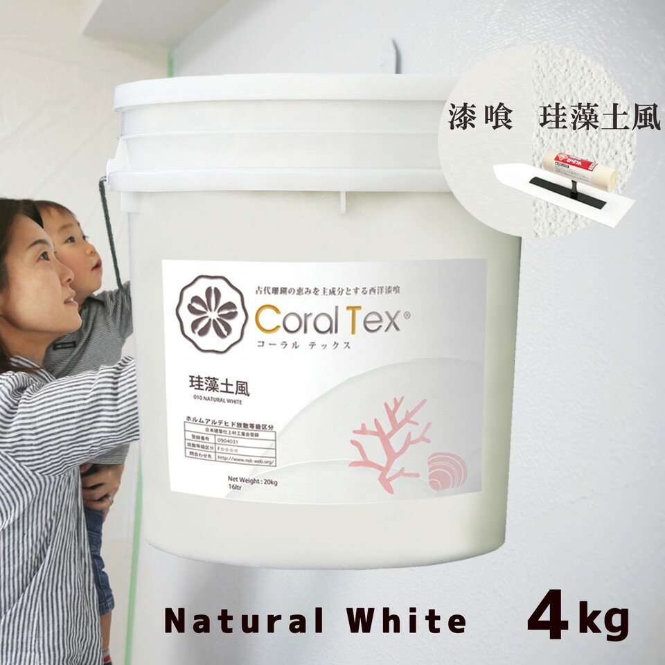 【送料無料】西洋 漆喰【Coral Tex コーラルテックス】塗り壁 ナチュラルホワイト（010）4kg