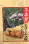 あげだし豆腐のたれ 京南禅 業務用お得パック(1袋30g入り×100個)1袋1人前用 小分けタイプ たれ あげたれ 送料無料 | 揚げ出し豆腐 豆腐 とうふ タレ 業務用 店舗用 イベント お弁当 飲食店 キッチン 調理 大容量 大量 調味料 小分け 揚げだし豆腐 揚げ豆腐 つゆ 醤油