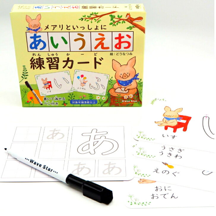 「メアリといっしょに　あいうえお練習カード」ひらがな 書き順 書き方 何度でも使える 繰り返し使える こぶたのメアリ 未就学児 書いて消せる 幼稚園 保育園 あいうえおカード 練習 学習 どうなつみ 波星社のサムネイル