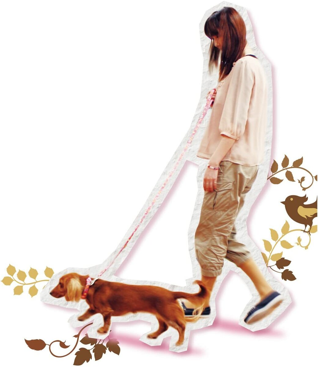 �ɥ����ޥ� ������ݥ꡼�� ���ե��� L �ԡ��������ǥ� �饤�७���ǥ� ���塼�ƥ��ե������ �ϥˡ��ե������ TFL215 TFL216 TFL217 TFL218 �緿���� �����ɻߵ�ǽ DoggyMan �ݥ���Ⱦò������ѡ�SALE ���㤤ʪ�ޥ饽�� �㤤���