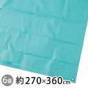 アサヒ興洋 レジャーシート 270×360cm ブルー 和みシート 6畳用 12-13人用 新橋色 アウトドア ピクニック 運動会 お花見 養生 建築 土木 農...