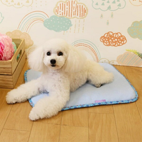 �ɥ����ޥ� ����դ��å��� S������ �ֲ� �֥롼 ��С����֥� �ѥ������� ��å������� DoggyMan �ݥ���Ⱦò� �����ѡ�SALE ���㤤ʪ�ޥ饽�� �㤤���