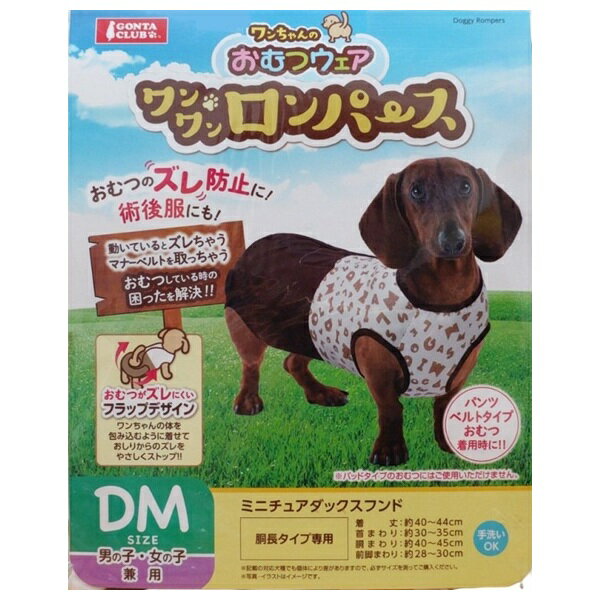 楽天市場】ダックス 服 dmサイズの通販