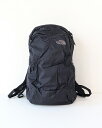 THE NORTH FACE m[XtFCX obO Y fB[X Glam Daypack OfCpbN NM32358 