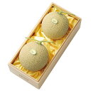 【公式】新宿高野 マスクメロン2個入B #11037|果物 くだもの お取り寄せ フルーツ 内祝い お祝い お礼 お返し 結婚内祝い 新築内祝い 高級 出産内祝...
