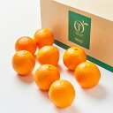 【公式】新宿高野 Day Fruit デイフルーツ オレンジA #29100|自宅用 おうち ギフト 果物 内祝い フルーツギフト 引越し内祝い 新築内祝い 開...