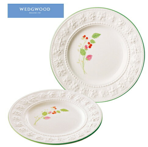 WEDGWOODååɥ󥺥쥯󡦥եƥӥƥ饹٥꡼21cmץ졼ȥڥ ե лˤ ˤ ˤ 뺧ˤ ˤ ֤ Ϫʪ ´ȵǰ ǰ  ˤ ؤˤ ˤ