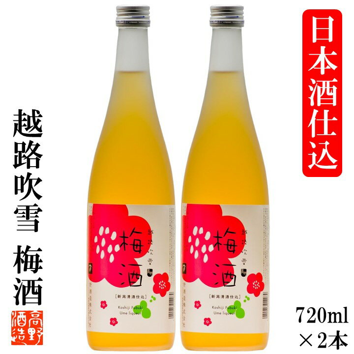 お歳暮 お年賀 ギフト 梅酒 越路吹雪 日本酒仕込み 梅酒 720ml×2本 セット 送料無料 御歳暮 御年賀 ギフト プレゼント 酒 お酒 セット 梅酒 瓶 甘くない さっぱり ロック 日本酒梅酒 日本酒ベース 贈答 贈り物 お礼 お祝い 内祝い お返し お母さん 誕生日 新潟 高野酒造