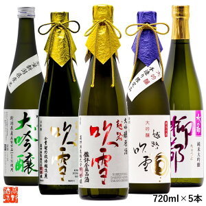 日本酒 福袋 純米大吟醸 大吟醸 飲み比べセット 720ml×5本 セット 送料無料 バレンタイン ギフト プレゼント 日本酒 飲み比べセット 純米大吟醸 大吟醸 辛口 甘口 酒 お酒 地酒 贈答 贈り物 お礼 お返し お祝い 内祝い お父さん 誕生日 蔵元直送 越路吹雪 新潟 高野酒造