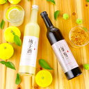 遅れてごめんね 母の日 越路吹雪 プレミアム 柚子酒・梅酒 飲み比べセット 500ml×2本 送料無料 ギフト プレゼント 酒 お酒 甘口 甘さ控えめ ゆず酒 ...