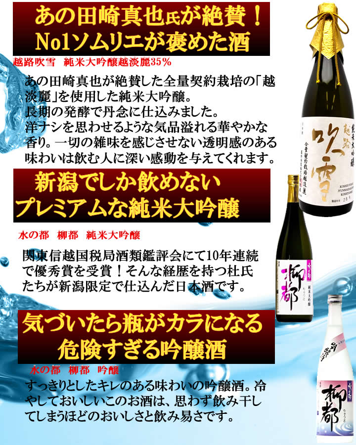 お中元 日本酒 飲み比べ 杜氏厳選 純米大吟醸入り 720ml×3本 桐箱入 送料無料 お中元 御中元 ギフト プレゼント 日本酒 おすすめ 辛口 甘口 飲み比べセット 純米大吟醸 酒 お酒 地酒 贈答 贈り物 お礼 お祝い 内祝い お返し お父さん 誕生日 蔵元直送 新潟 高野酒造