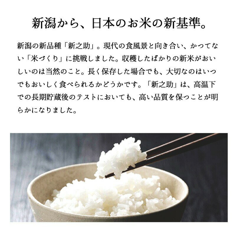 新之助 しんのすけ 白米 10kg(5kg×2) 令和6年産 米 お米 こめ コメ 10kg 10キロ 新潟県産 新潟産 一等米 ブランド米 新品種 新潟米 ギフト プレゼント 贈り物 贈答 お礼 内祝い お返し 結婚 出産 入学 卒業 新潟 細山商店