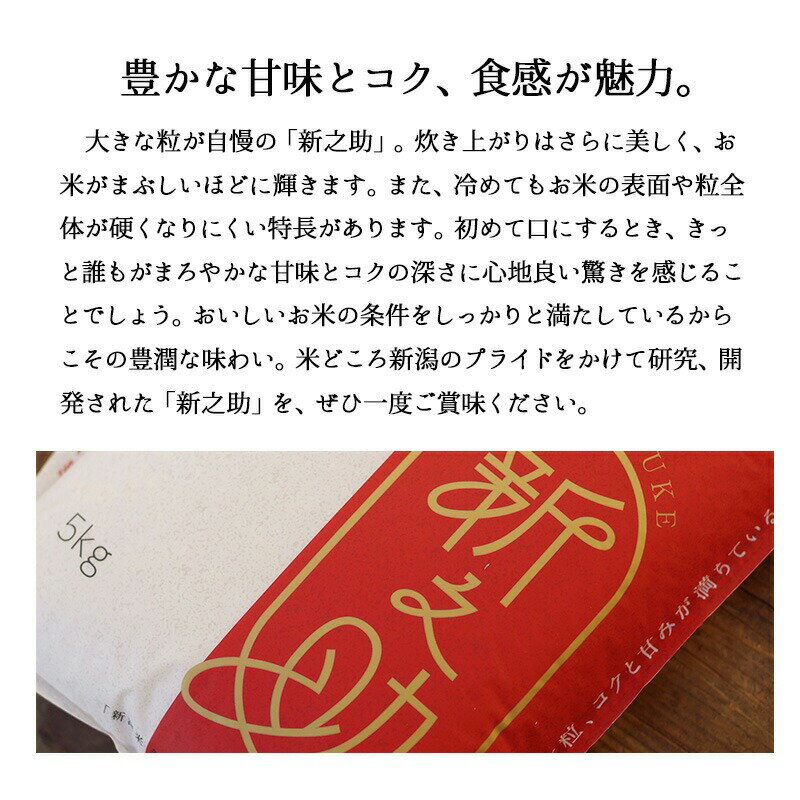 新之助 しんのすけ 白米 10kg(5kg×2) 令和6年産 米 お米 こめ コメ 10kg 10キロ 新潟県産 新潟産 一等米 ブランド米 新品種 新潟米 ギフト プレゼント 贈り物 贈答 お礼 内祝い お返し 結婚 出産 入学 卒業 新潟 細山商店