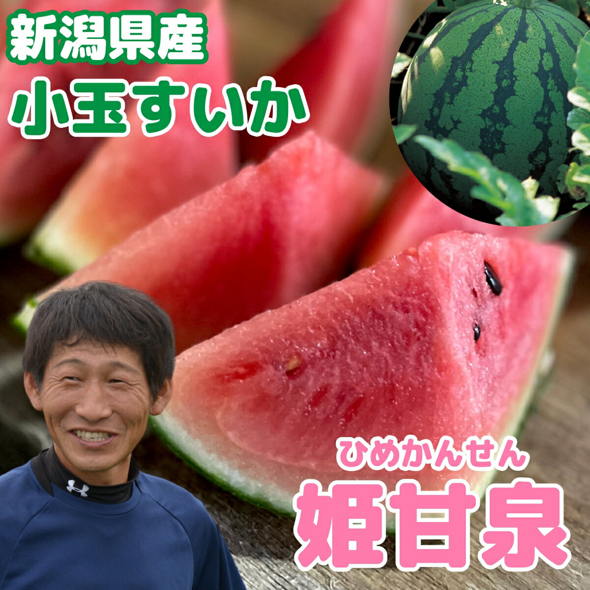 新潟産 小玉スイカ 姫甘泉 1.2kg前後 3玉 or 4玉 数量限定 送料無料 お中元 ギフト プレゼント スイカ すいか 西瓜 甘い 糖度13度以上 ..